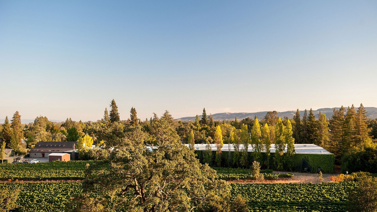 Photo of Others in Sonoma