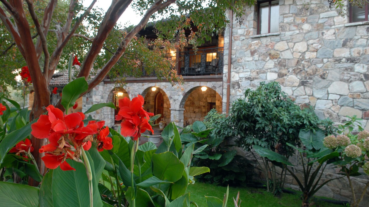 Photo of Outdoor in Sonoma
