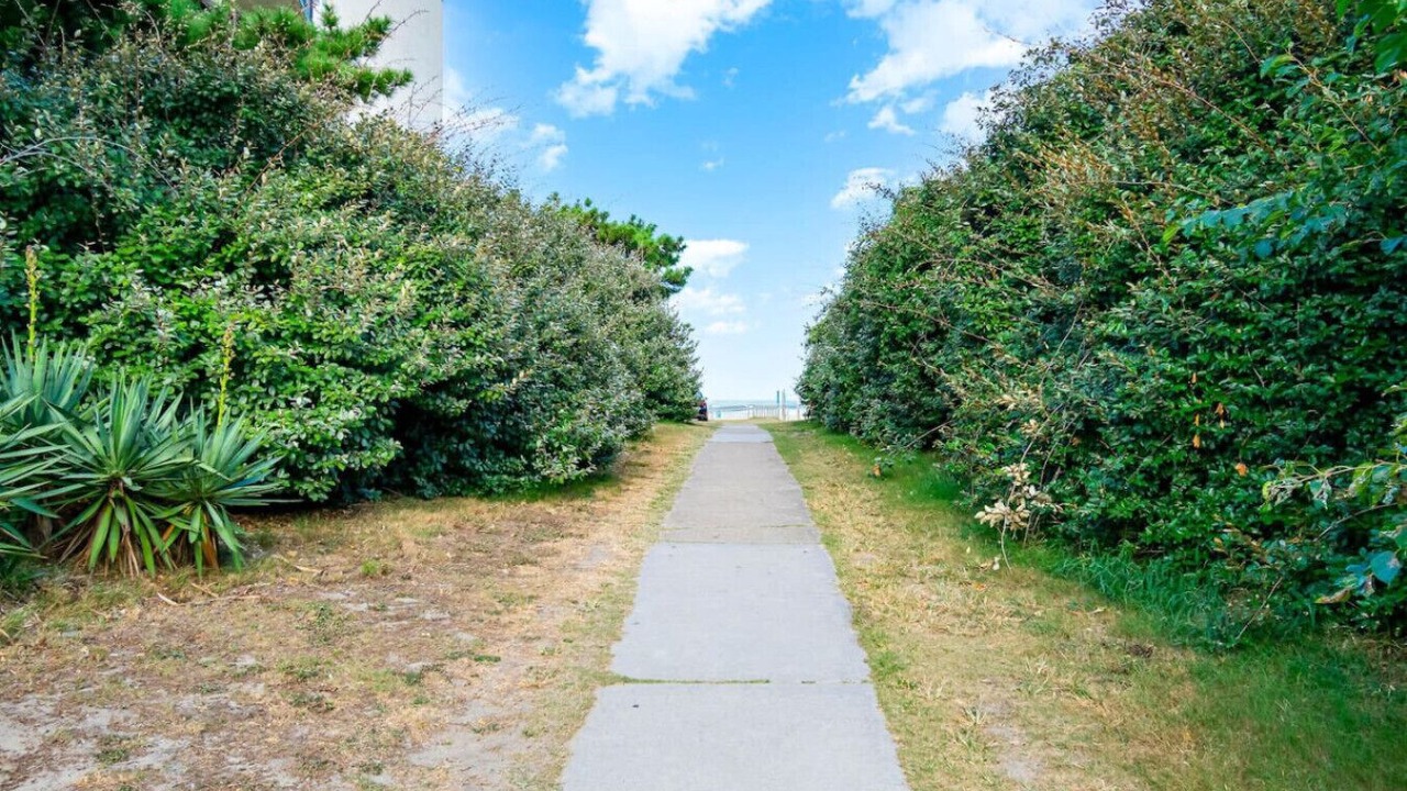 Photo of Others in Northeast Virginia Beach