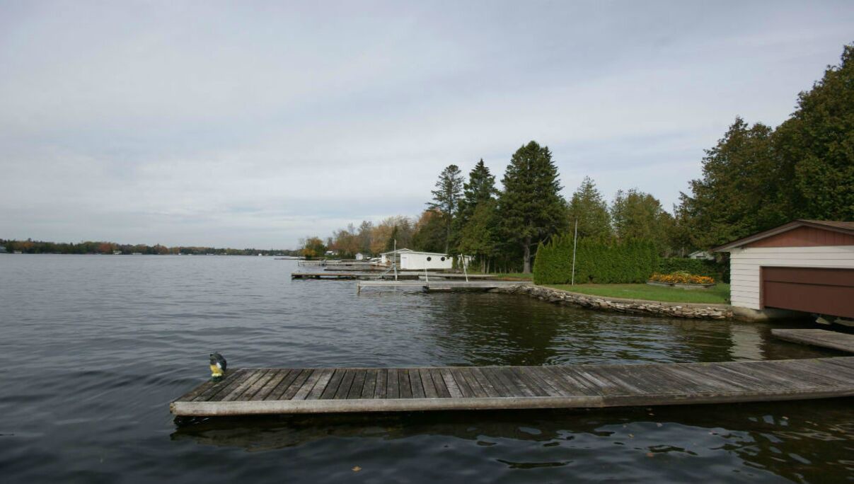 Photo of Others in Fenelon Falls