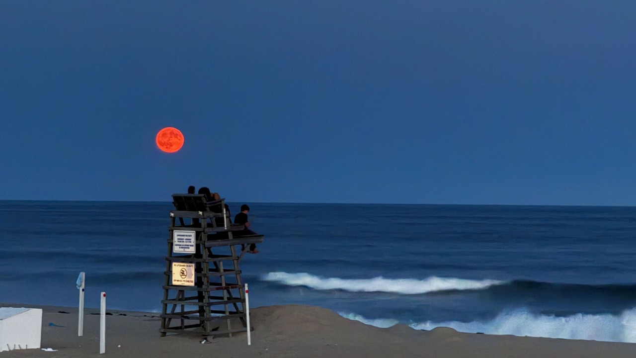 Photo of Others in Fair Harbor