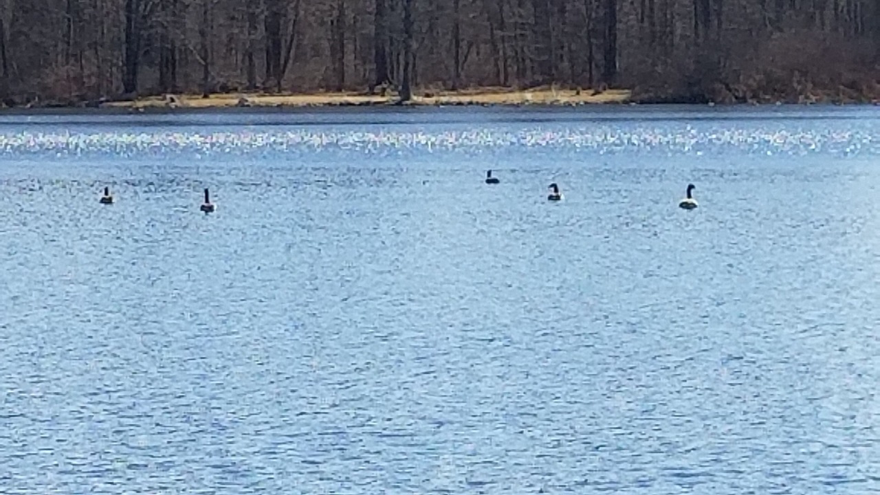 Photo of Others in Eau Claire
