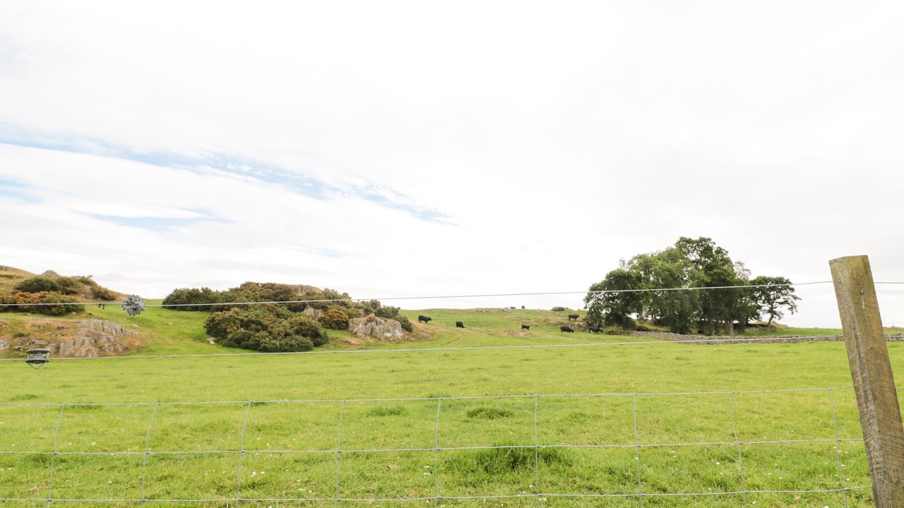 Photo of Outdoor in Kelso