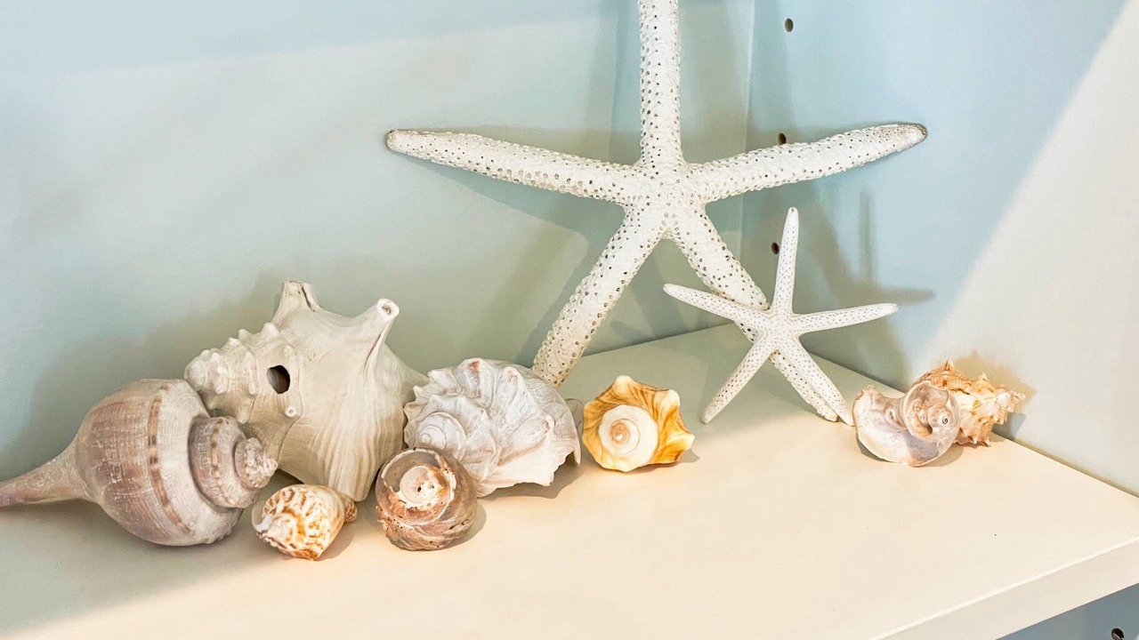 Photo of Others in Sea Cottage Addition