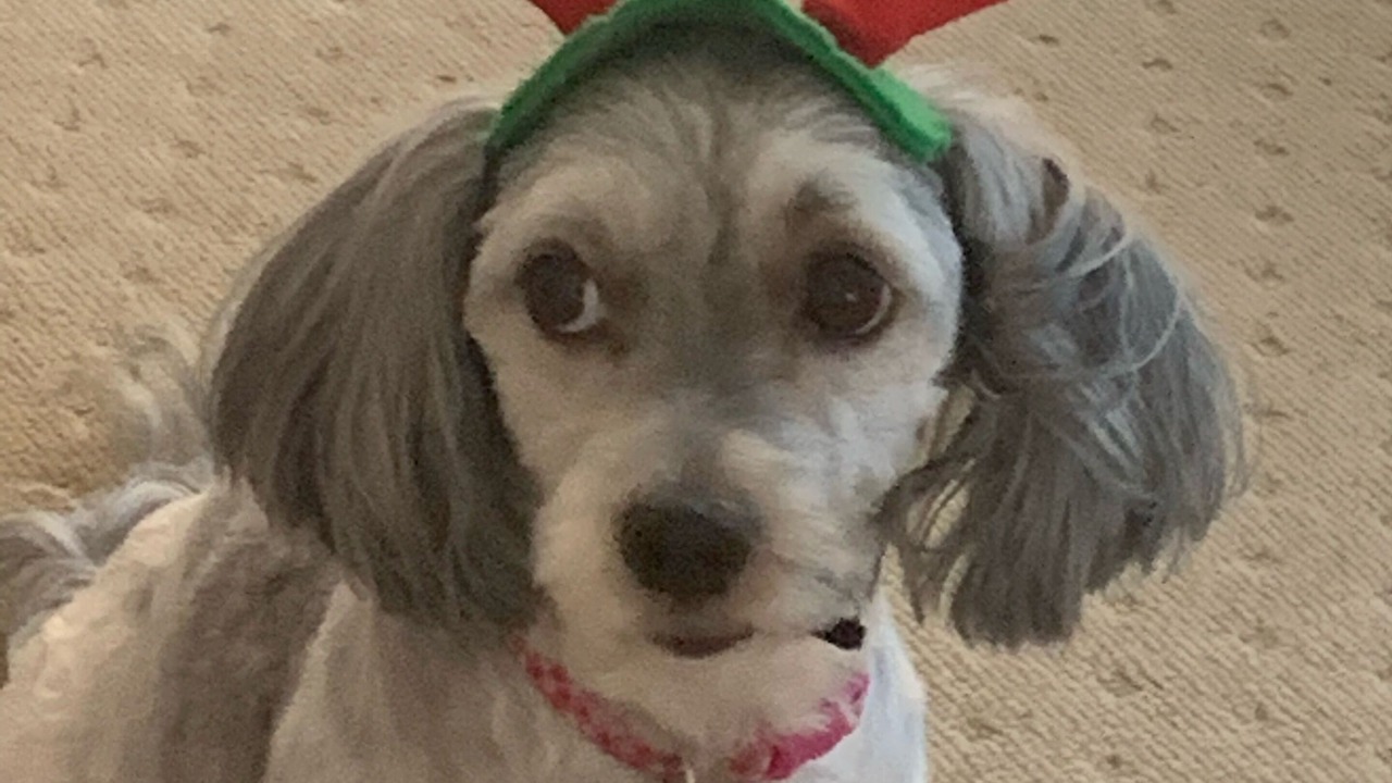 Photo of Others in Scarness