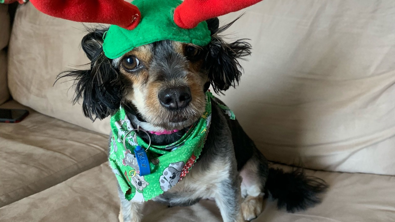 Photo of Others in Scarness