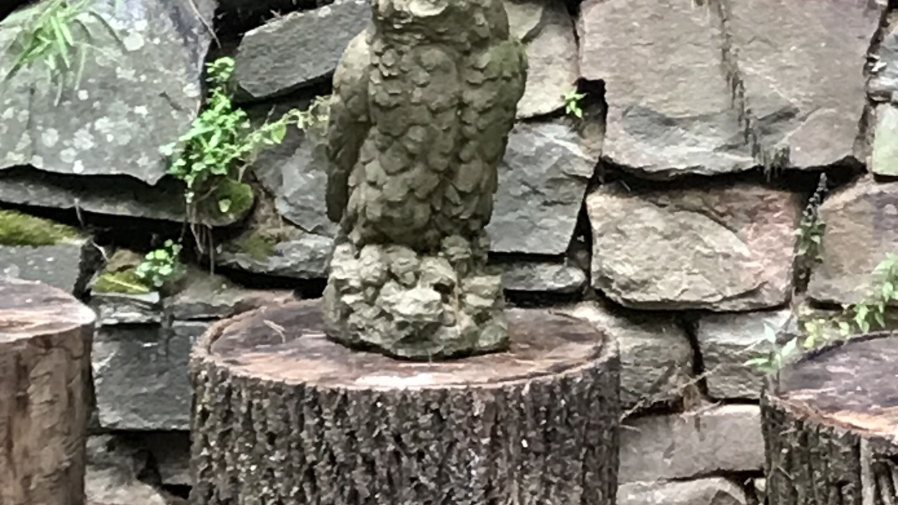 Photo of Outdoor in Accord