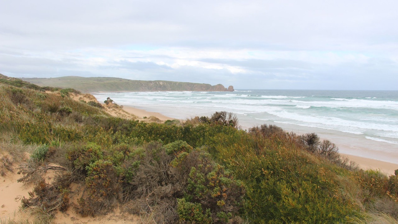 Photo of Others in Cape Woolamai