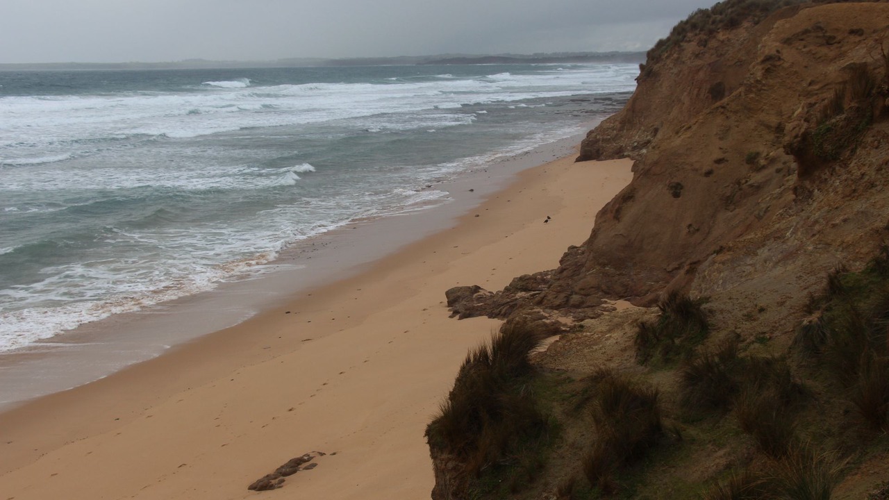 Photo of Others in Cape Woolamai