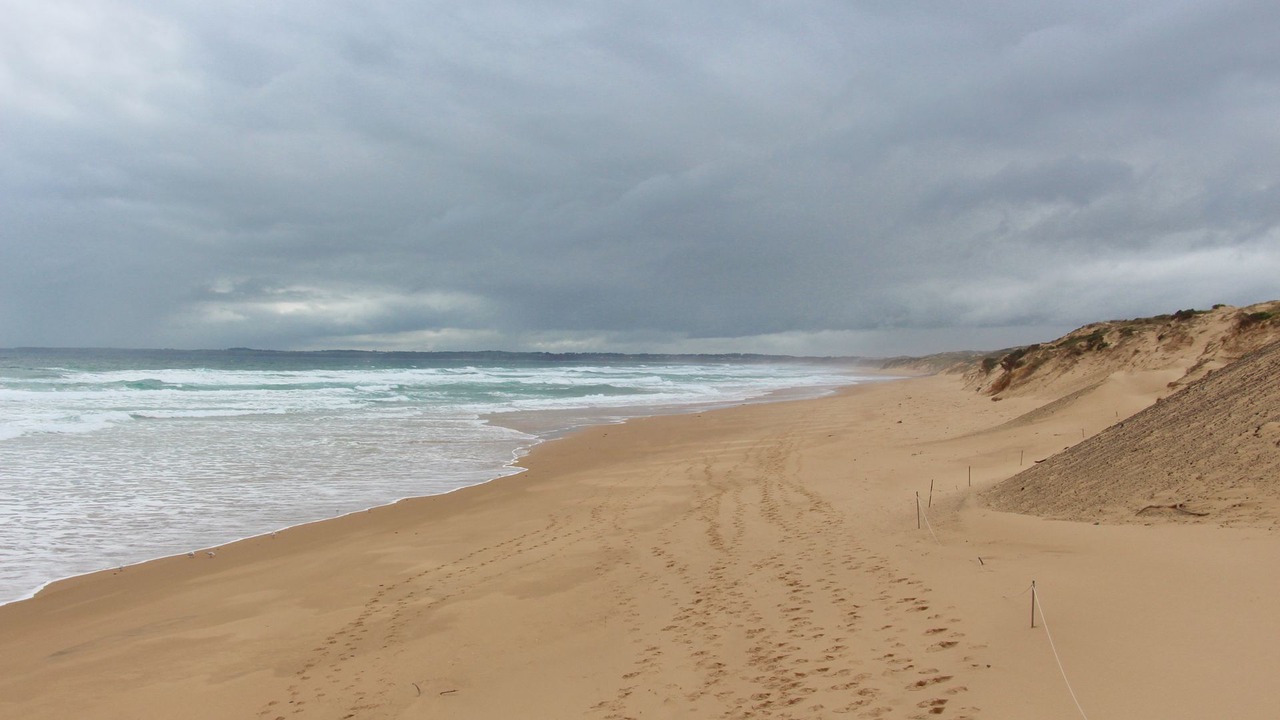 Photo of Others in Cape Woolamai