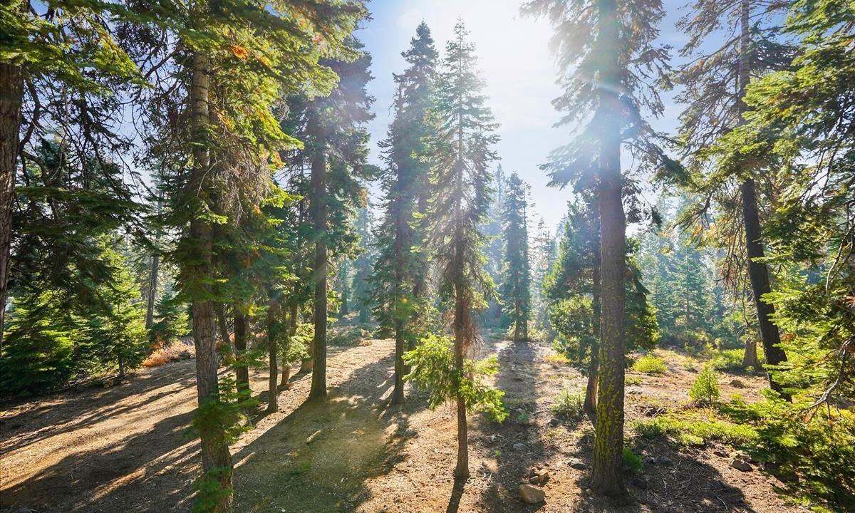 Photo of Outdoor in Tahoe City