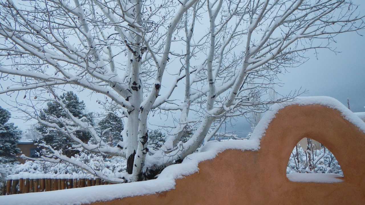 Photo of Outdoor in El Prado