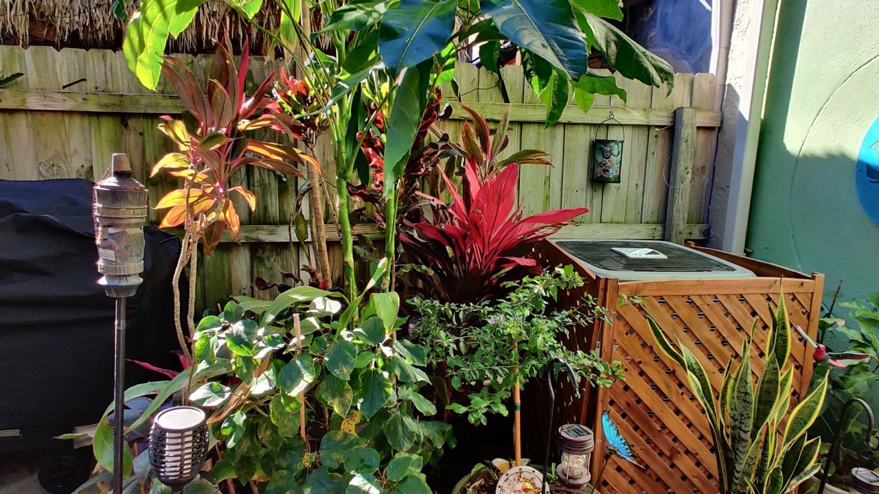 Photo of Outdoor in Key Shore