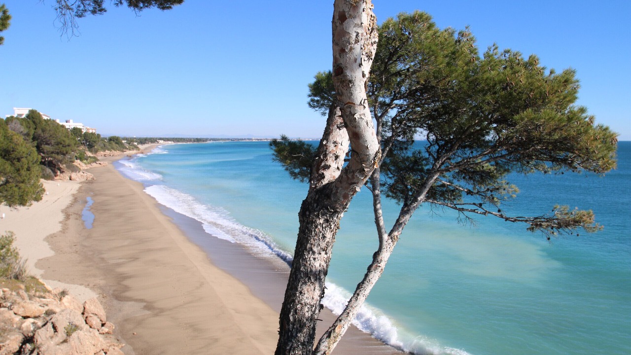 Photo of Others in Cambrils