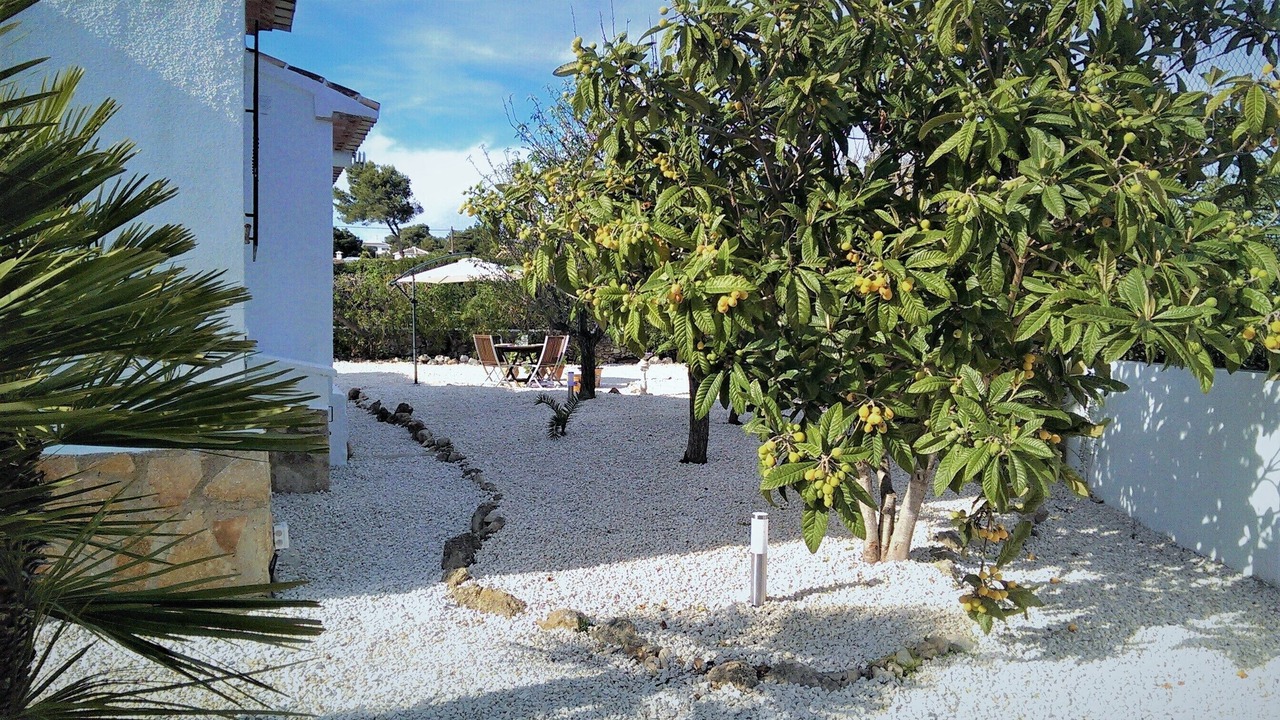 Photo of Outdoor in Costa Nova