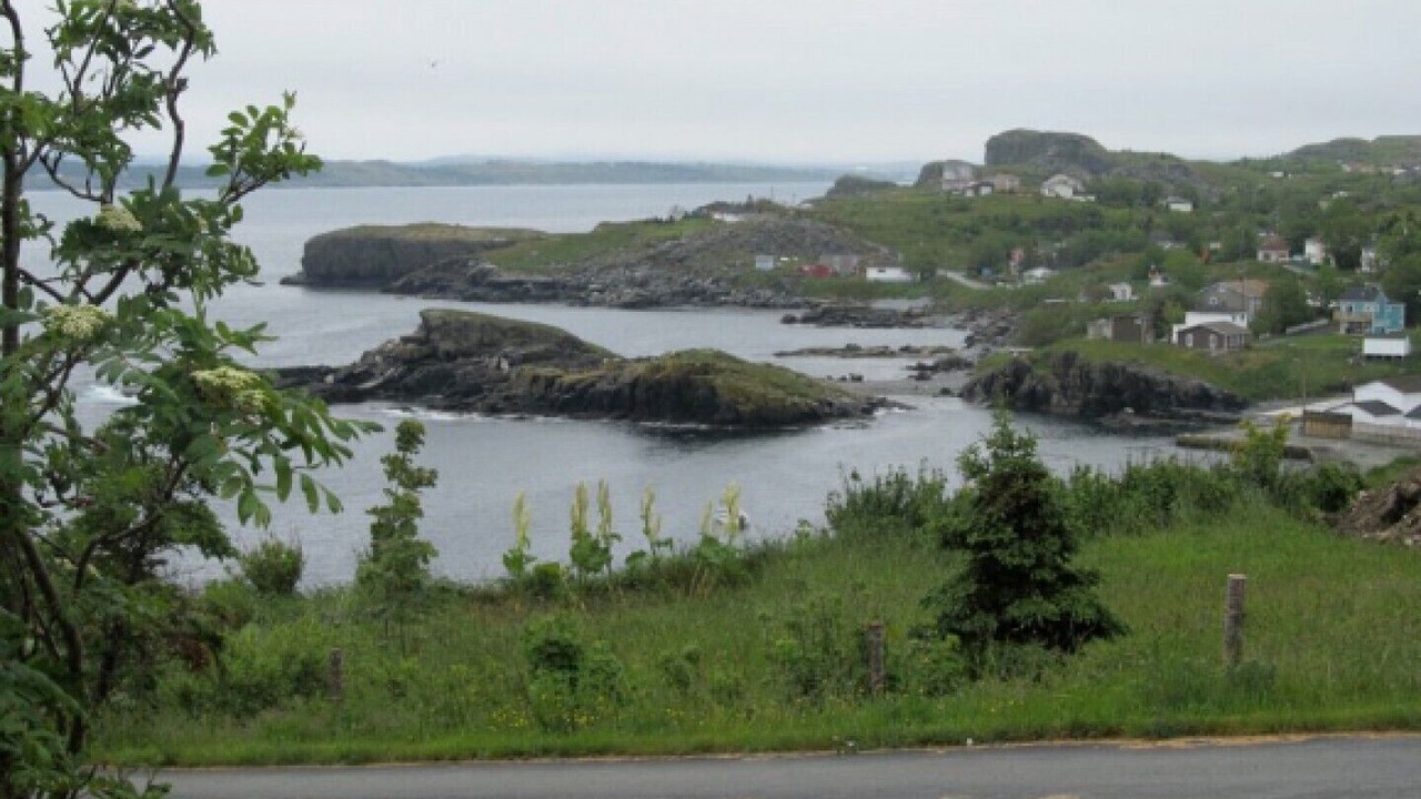 Photo of Outdoor in Upper Island Cove