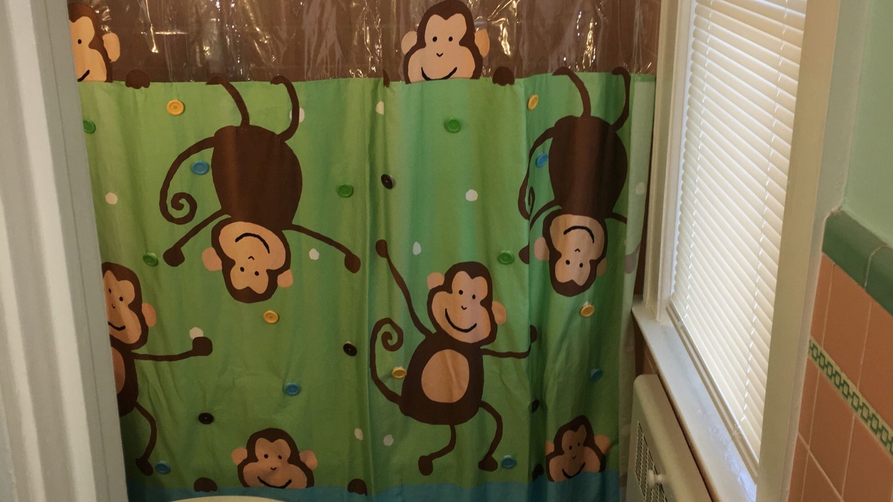 Photo of Bathroom in Willoughby Spit