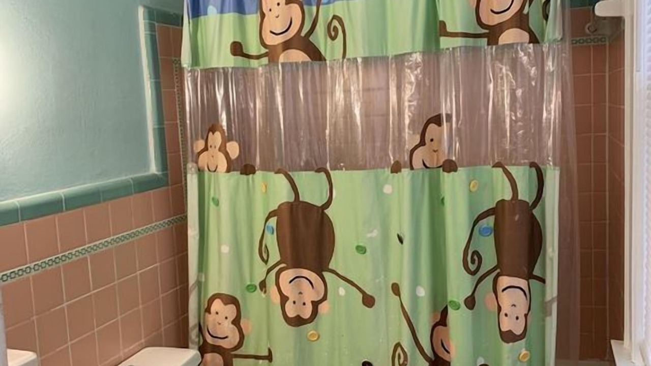 Photo of Bathroom in Willoughby Spit