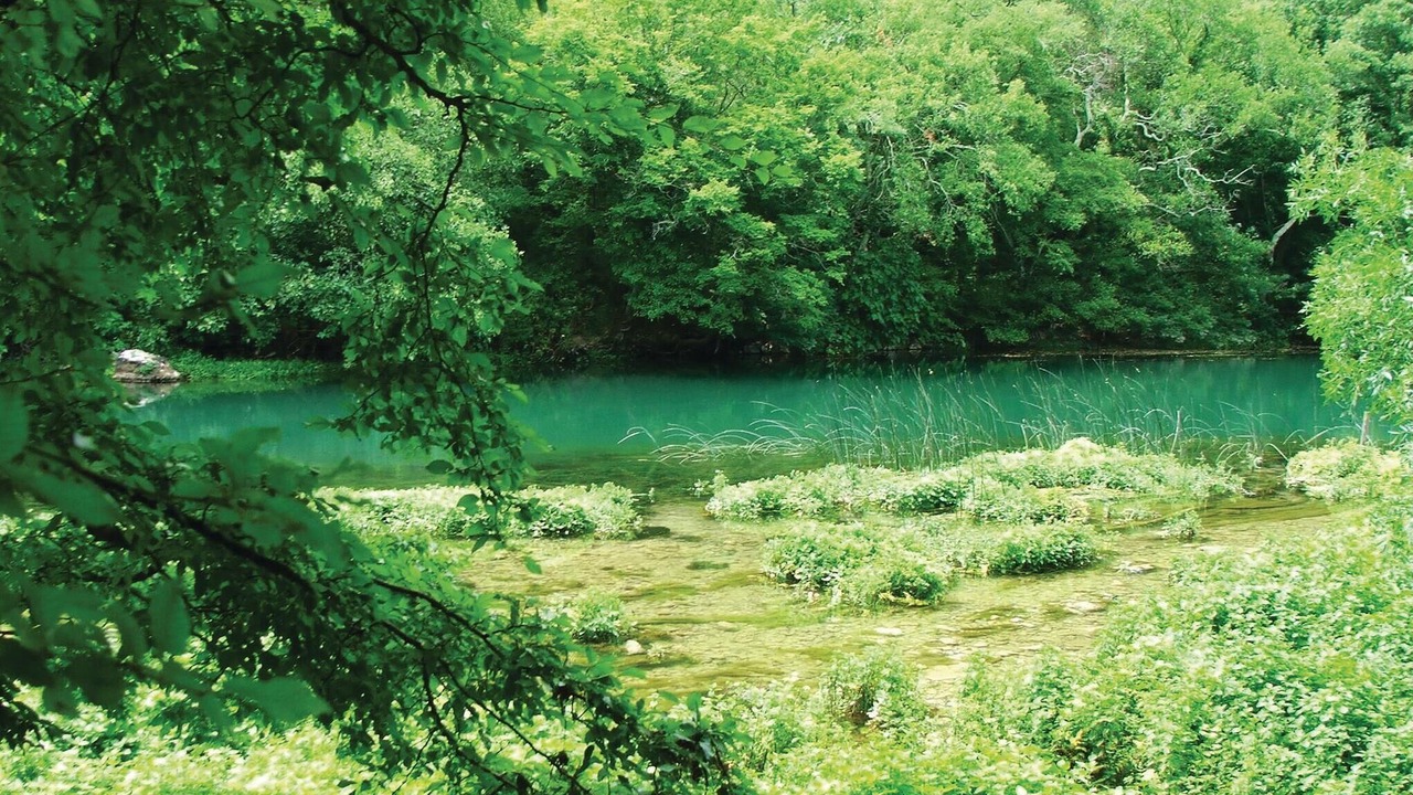 Photo of Others in Puljane