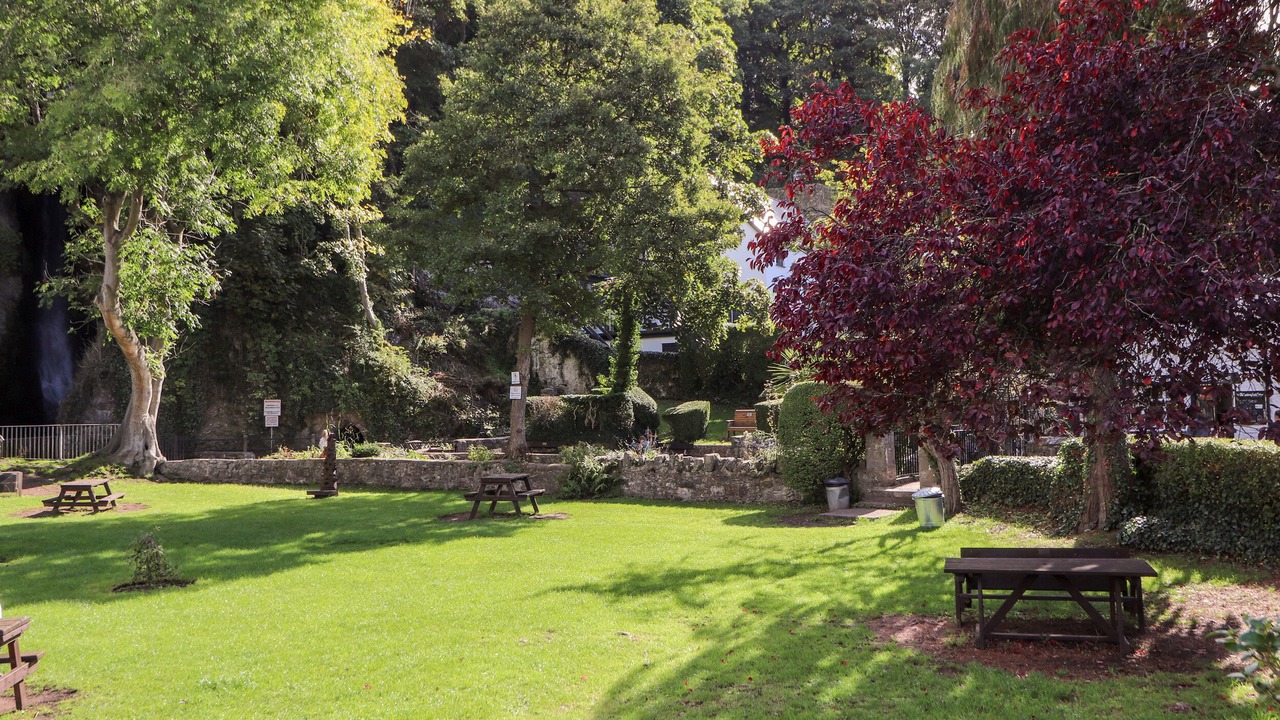 Photo of Outdoor in Dyserth