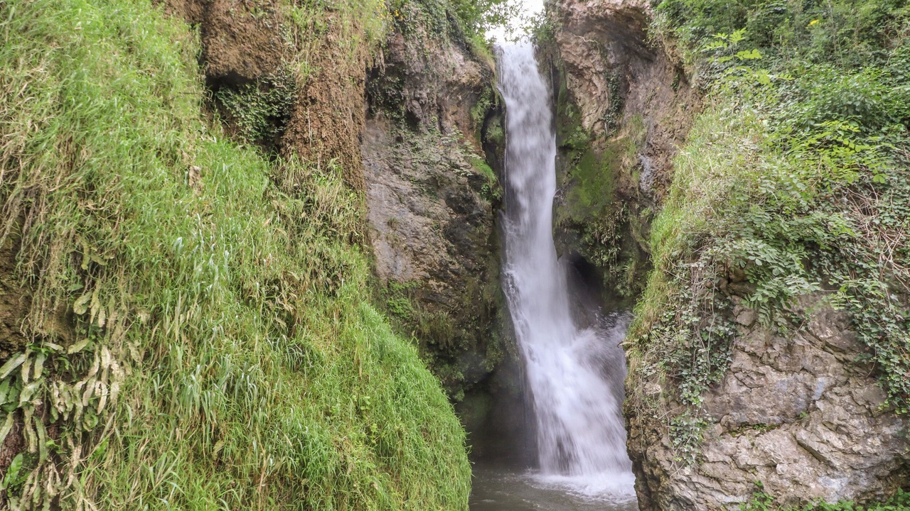 Photo of Outdoor in Dyserth