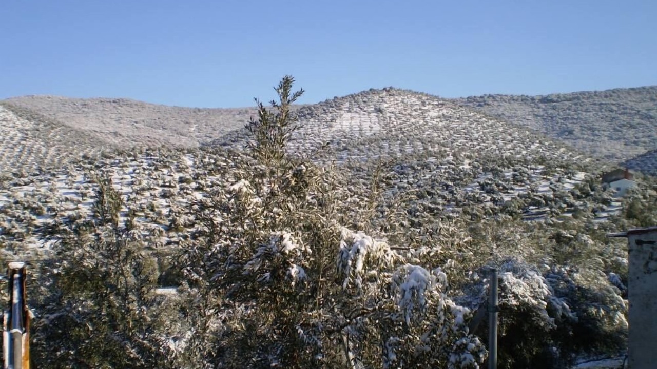 Photo of Others in Pozoblanco