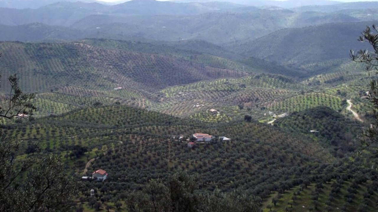 Photo of Others in Pozoblanco