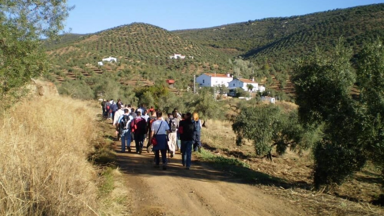 Photo of Others in Pozoblanco
