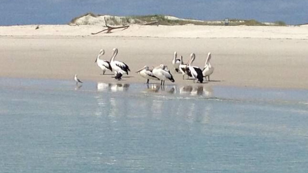 Photo of Others in Urangan