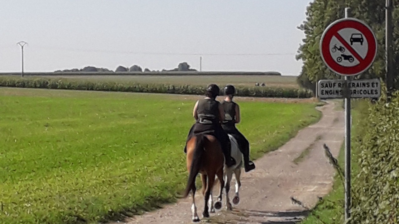 Photo of Others in Wavrans-sur-l'Aa