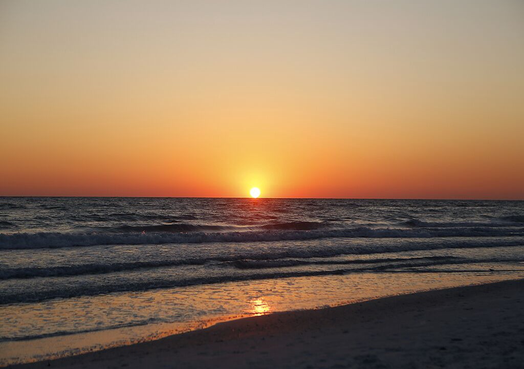 Photo of Others in Whitney Beach