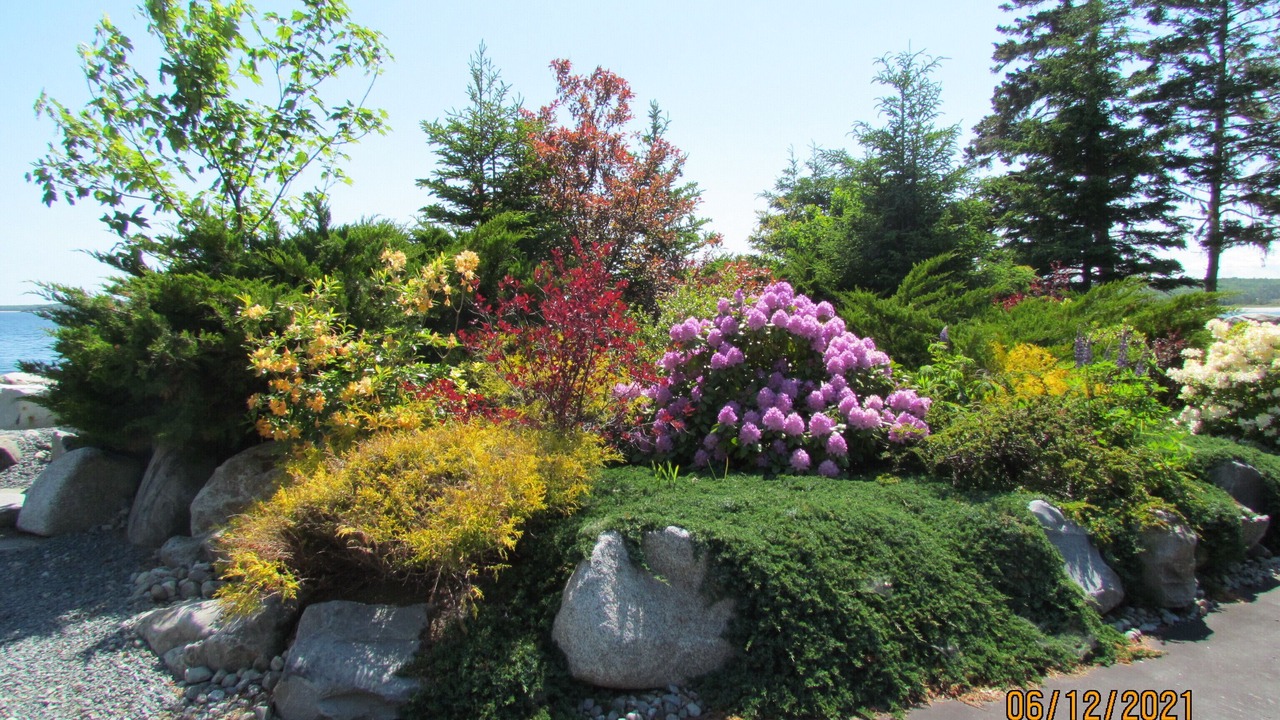 Photo of Outdoor in Summerville Centre