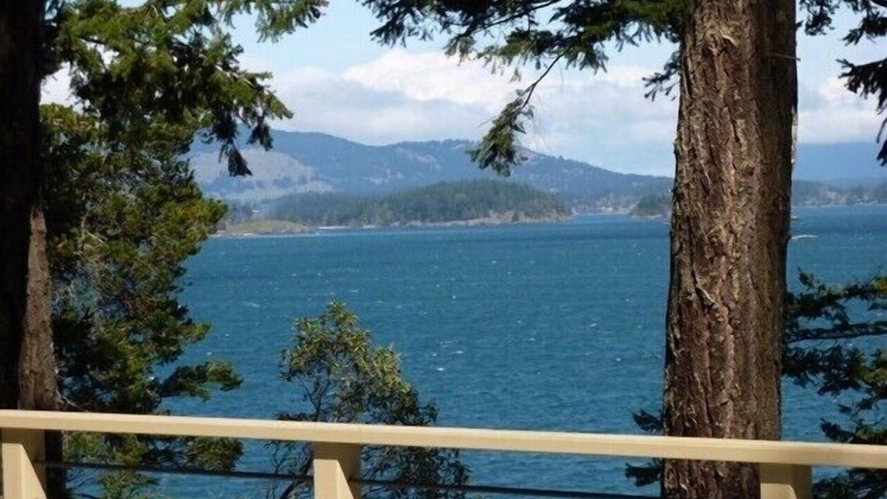 Photo of Others in Friday Harbor