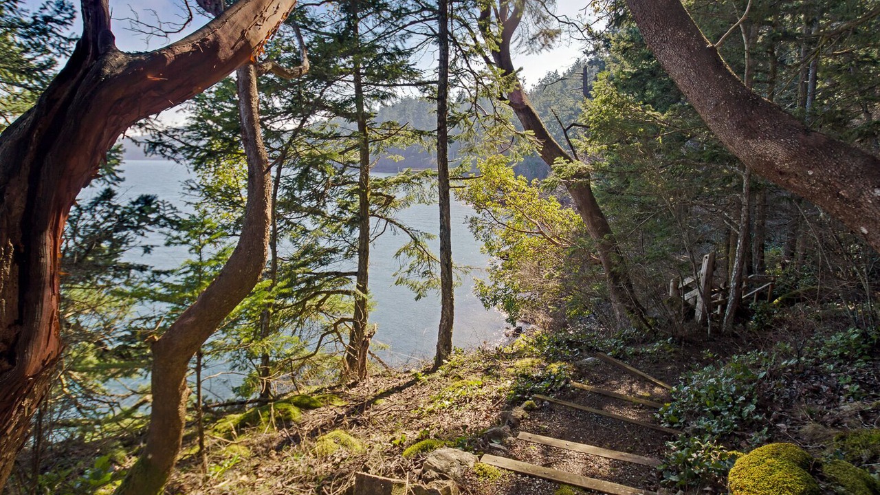 Photo of Others in Friday Harbor