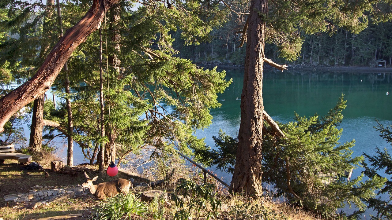 Photo of Others in Roche Harbor