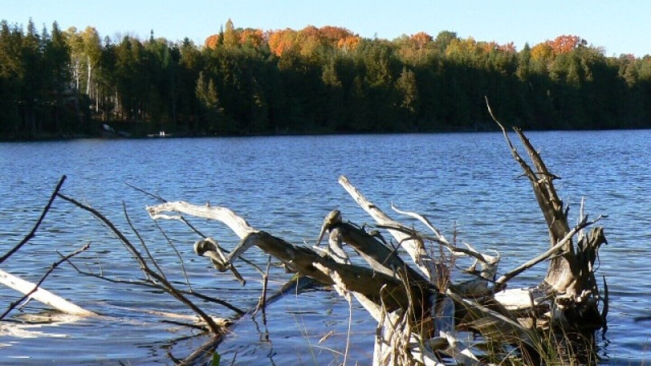 Photo of Outdoor in Irondale