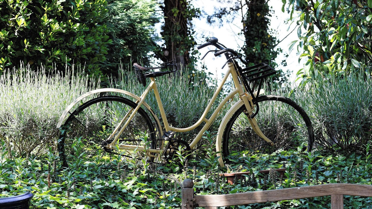 Photo of Outdoor in Rognonas