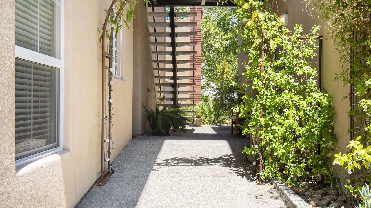 Photo of Outdoor in Napa