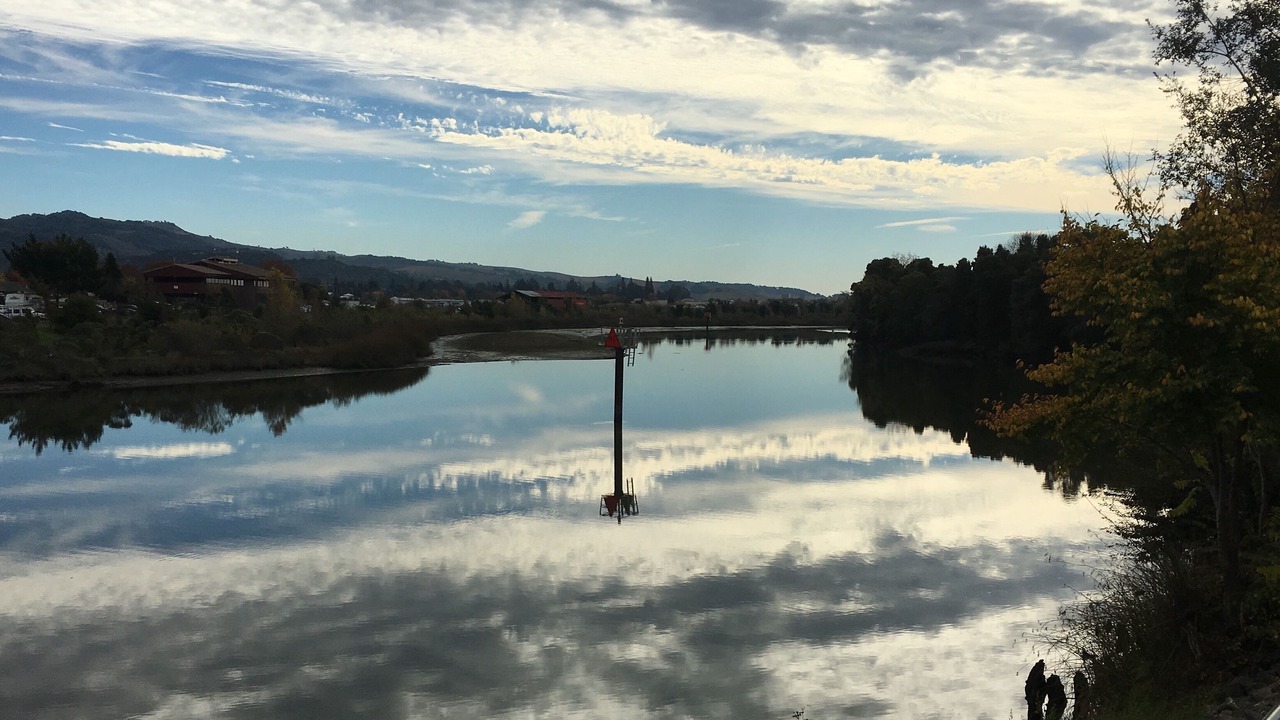 Photo of Others in Napa