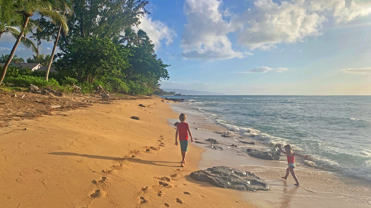 Photo of Others in Kawela Bay