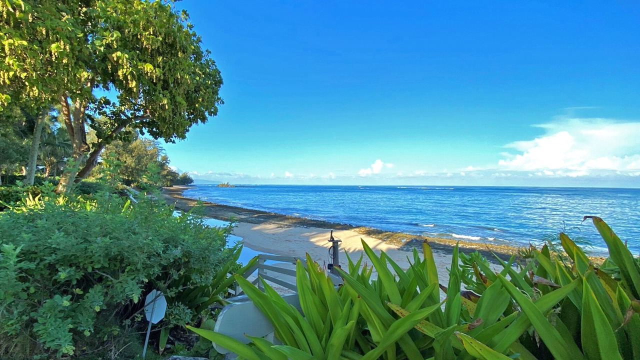 Photo of Others in Kawela Bay