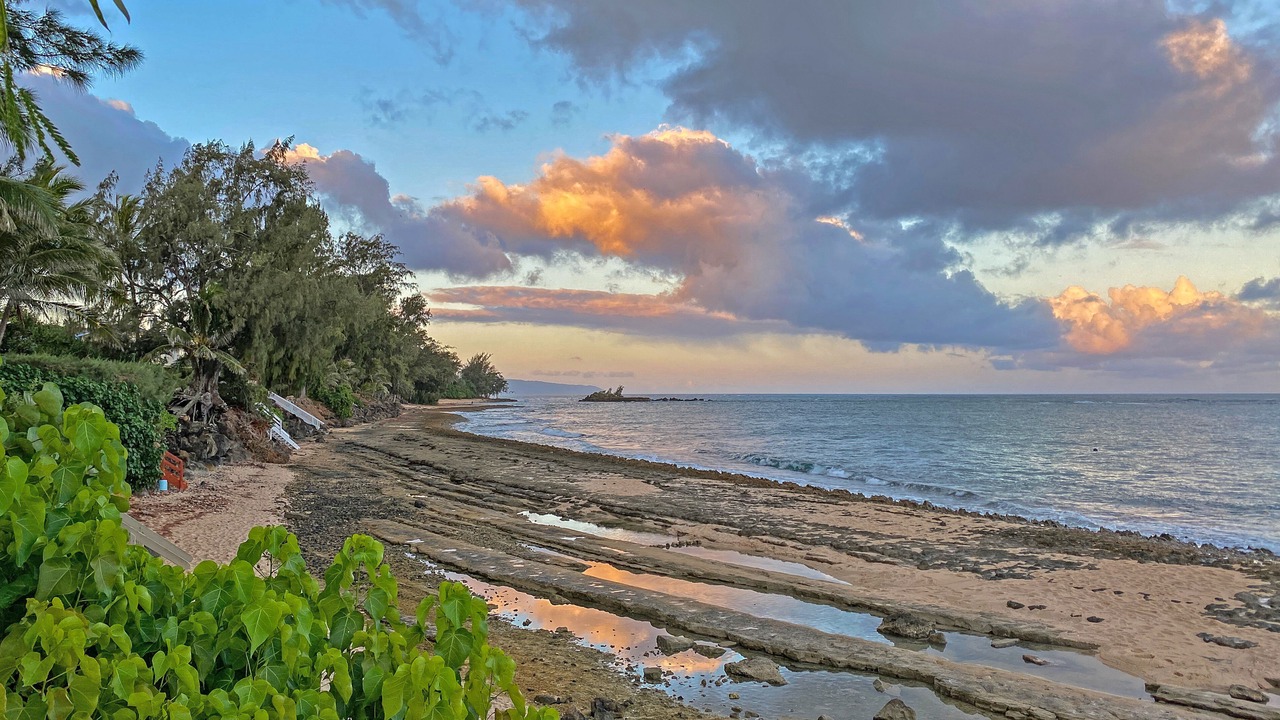 Photo of Others in Kawela Bay