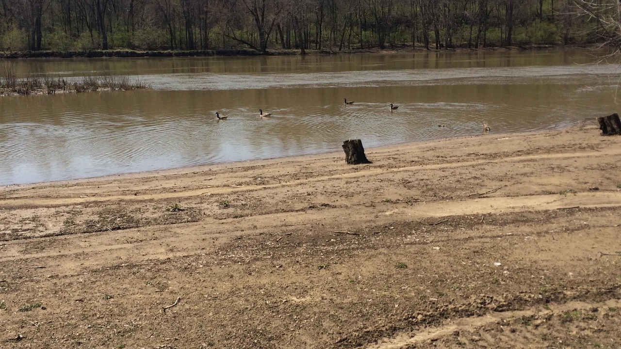 Photo of Others in Logansport