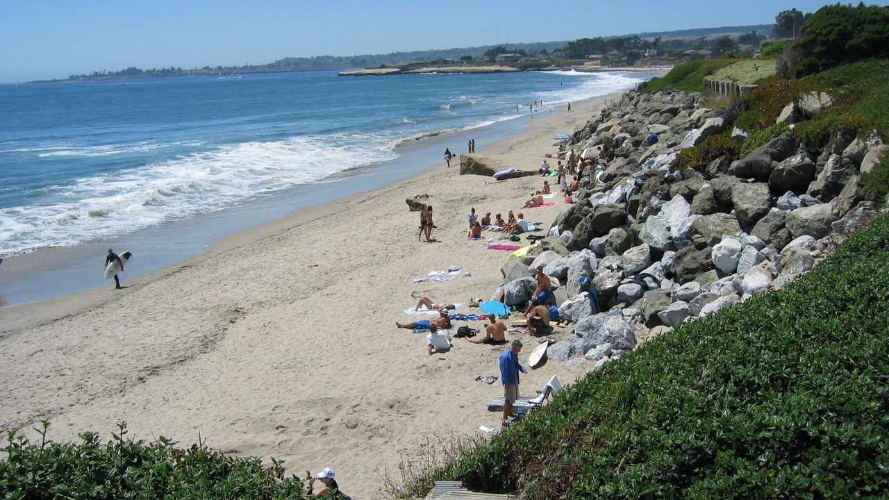 Photo of Others in Opal Cliffs