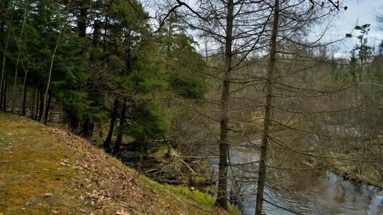 Photo of Outdoor in Irons
