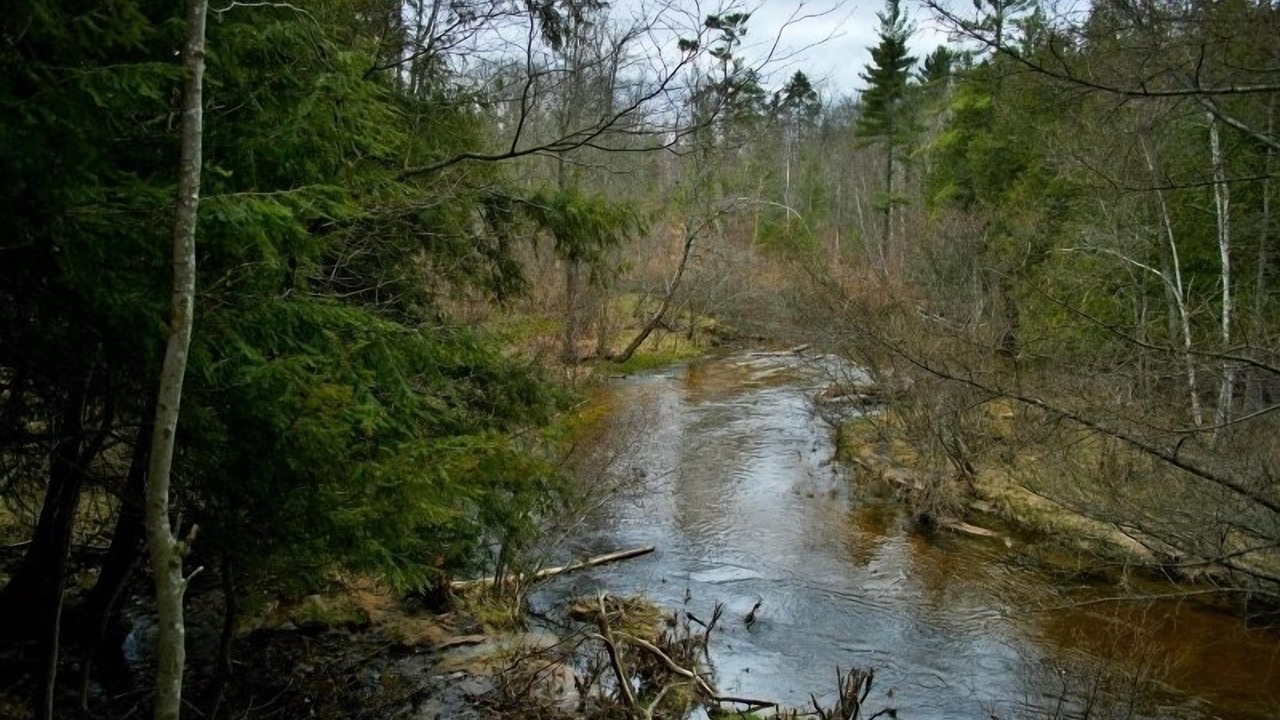 Photo of Outdoor in Irons