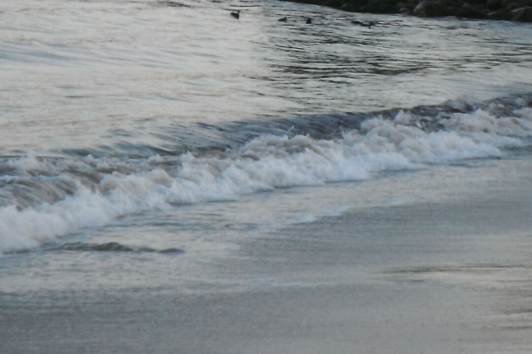 Photo of Others in Fox Point