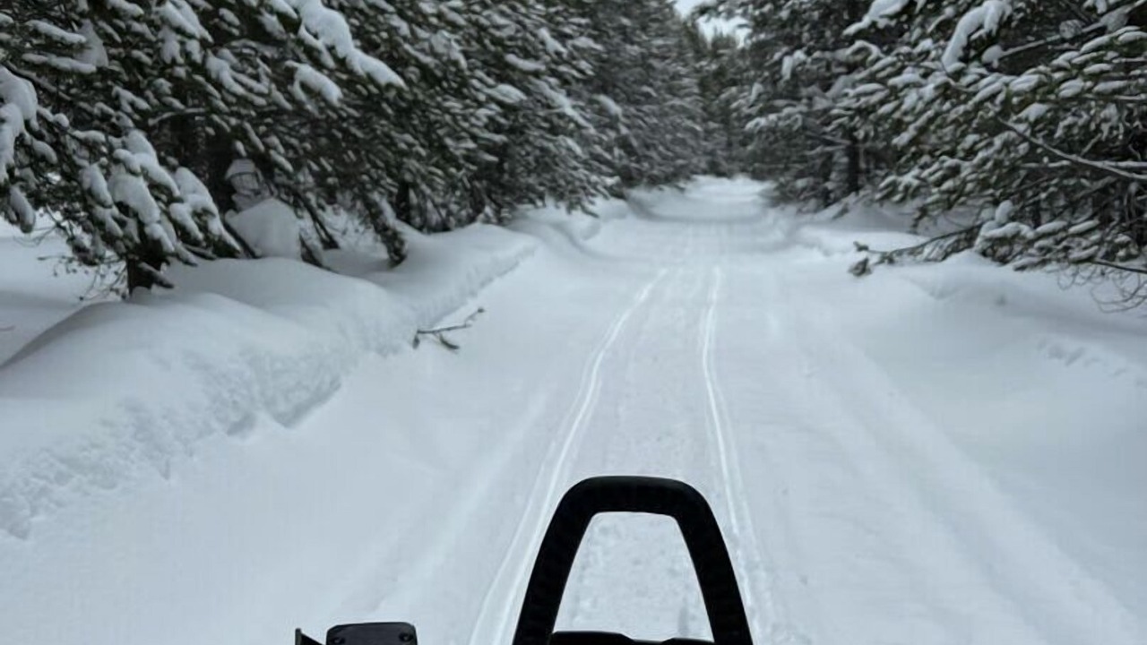 Photo of Others in Island Park