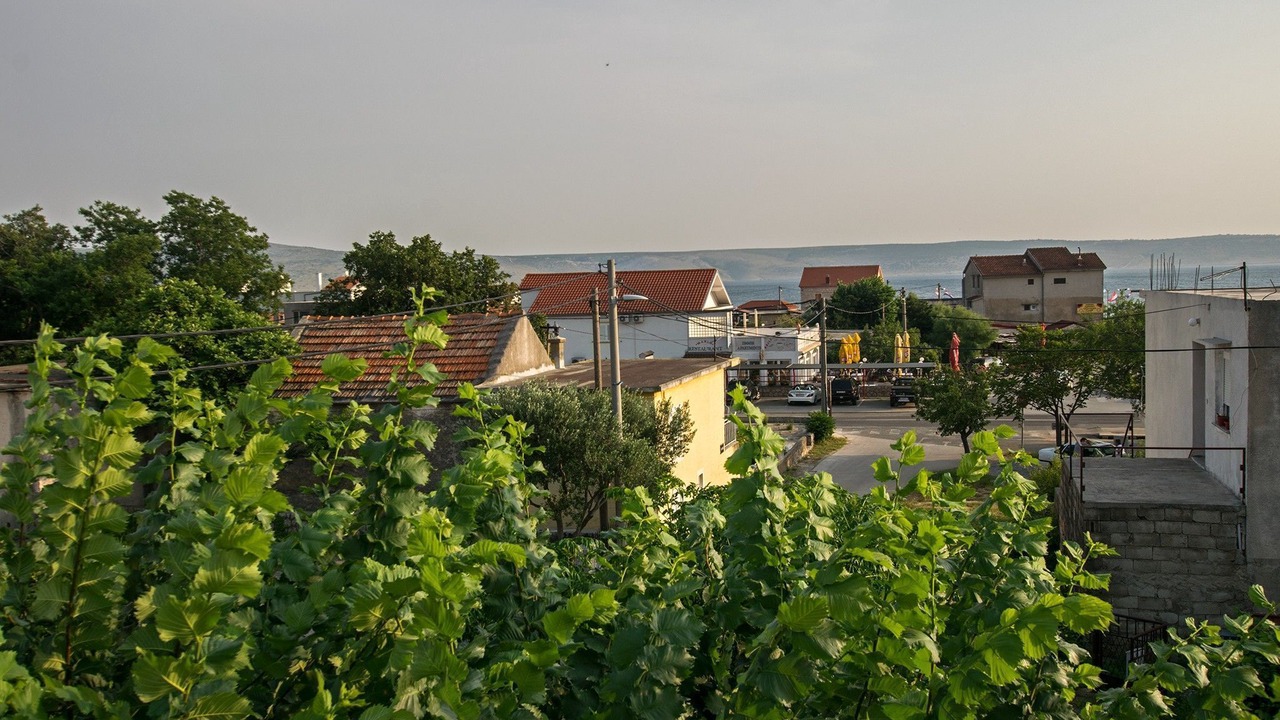 Photo of Others in Starigrad