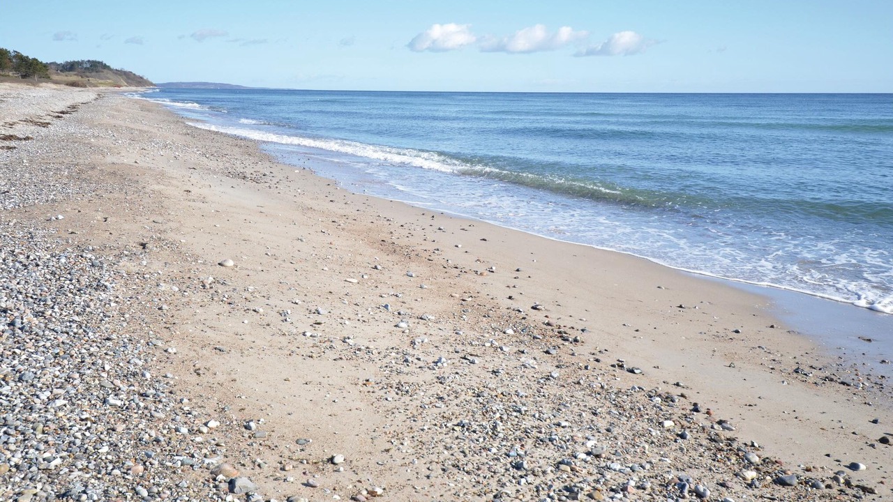 Photo of Others in Elsegarde Strand